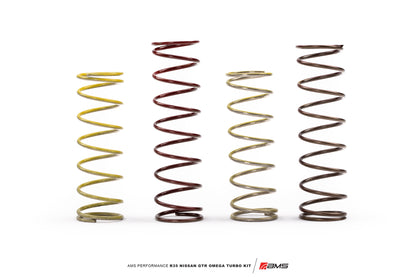 AMS Performance - Nissan R35 GTR OMEGA 11 Turbo Kit