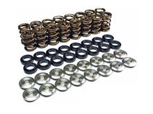Ferrea Nissan Valve Spring Kit