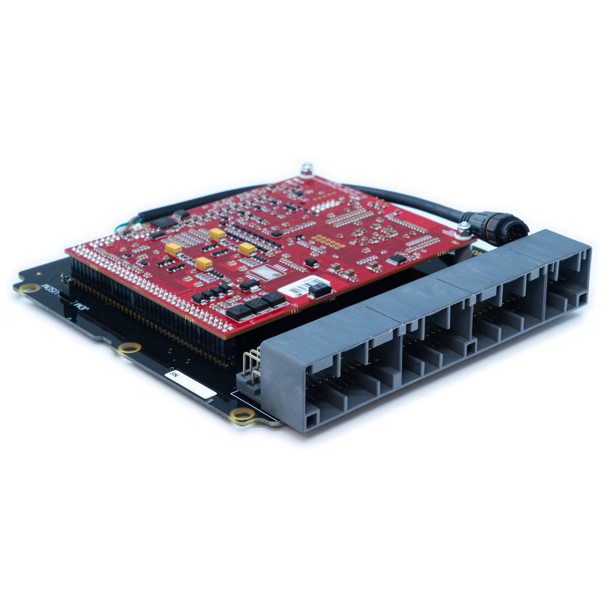 Link Engine Management - Plugin ECU G4X - Honda S2000 – RSC Shop