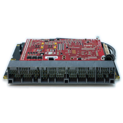 Link Engine Management - Plugin ECU G4X - Honda S2000